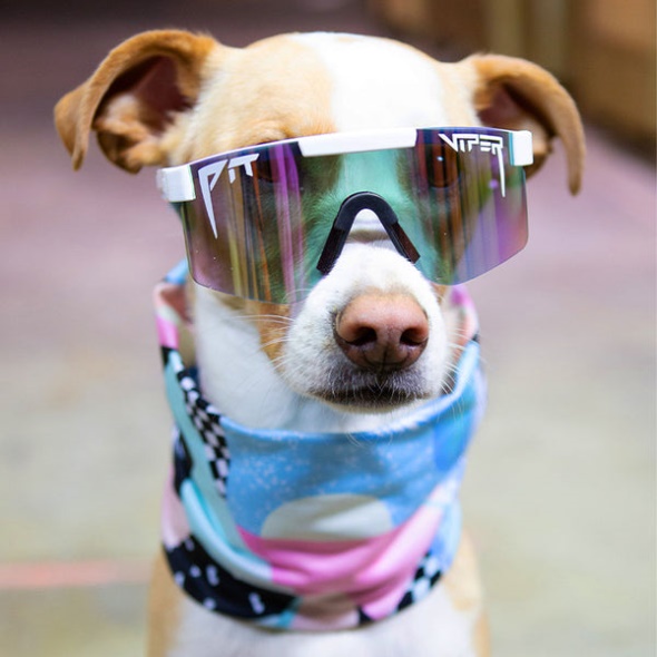 Pit Viper North Beach Tour Neck Warmer