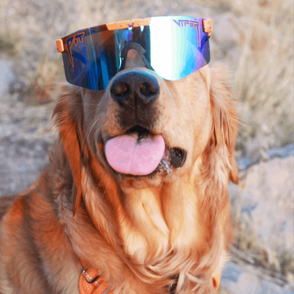 The Crush Polarized Double Wide Pit Viper