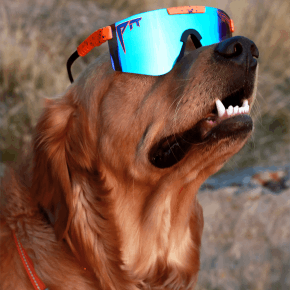 The Crush Polarized Double Wide Pit Viper