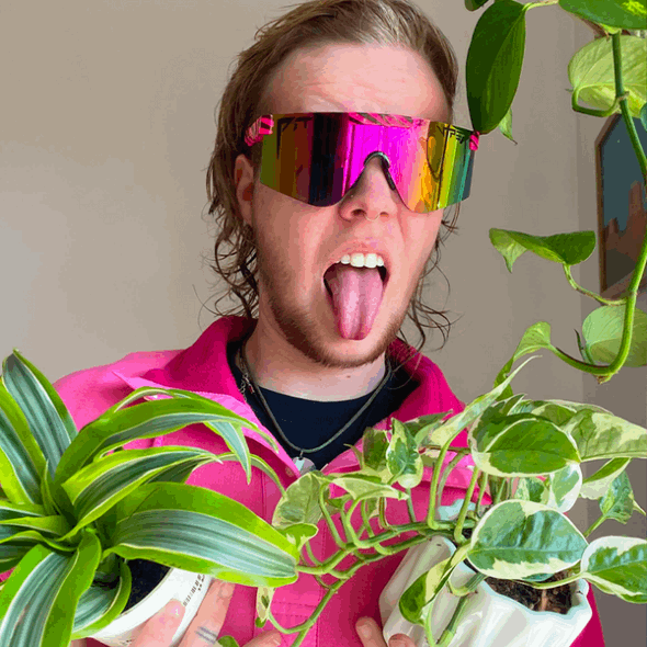 The Hot Tropics Polarized 2000s Pit Viper